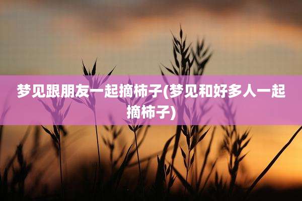梦见跟朋友一起摘柿子(梦见和好多人一起摘柿子)