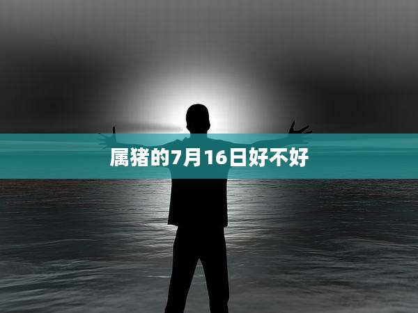 属猪的7月16日好不好