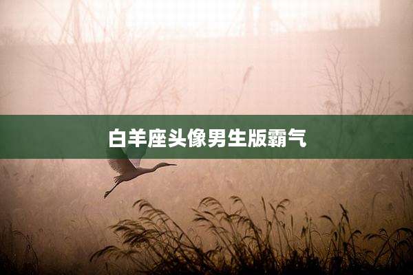 白羊座头像男生版霸气