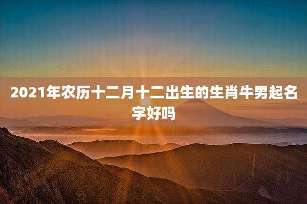 2021年农历十二月十二出生的生肖牛男起名字好吗