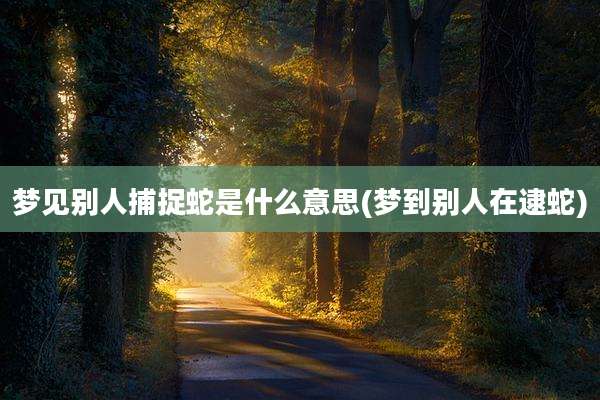 梦见别人捕捉蛇是什么意思(梦到别人在逮蛇)