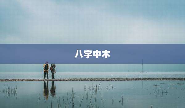 八字中木