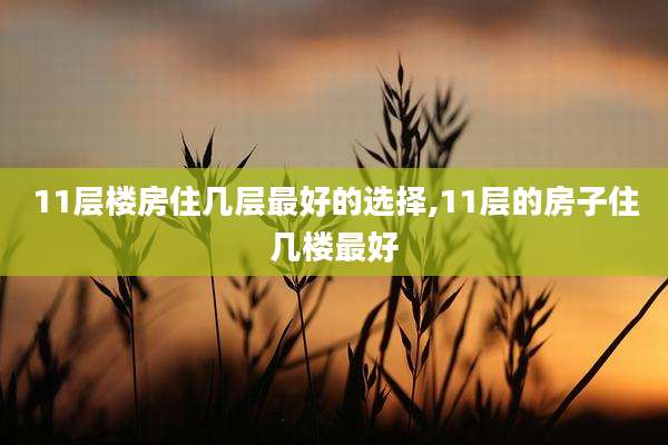 11层楼房住几层最好的选择,11层的房子住几楼最好