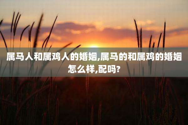 属马人和属鸡人的婚姻,属马的和属鸡的婚姻怎么样,配吗?