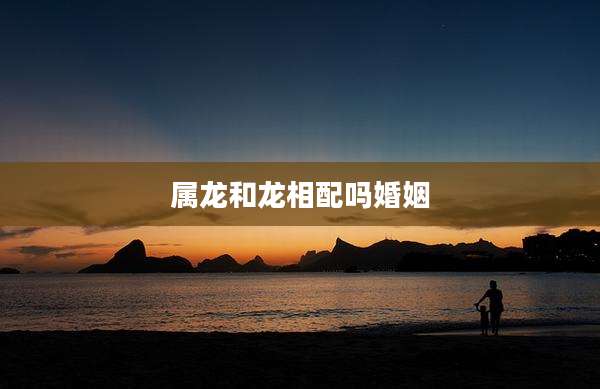 属龙和龙相配吗婚姻