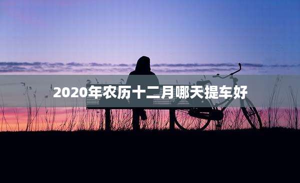 2020年农历十二月哪天提车好