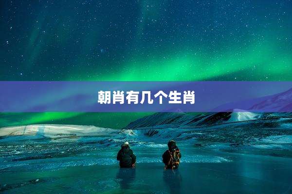朝肖有几个生肖