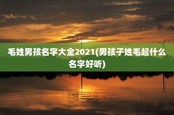 毛姓男孩名字大全2021(男孩子姓毛起什么名字好听)