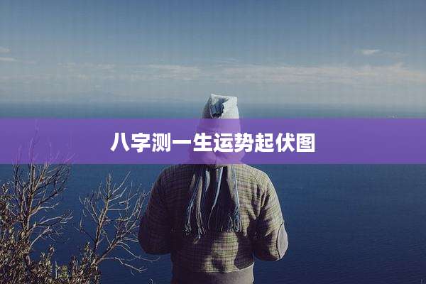 八字测一生运势起伏图