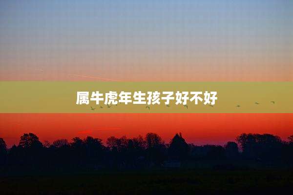 属牛虎年生孩子好不好