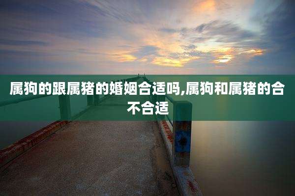 属狗的跟属猪的婚姻合适吗,属狗和属猪的合不合适