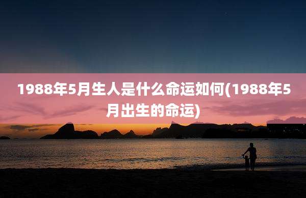 1988年5月生人是什么命运如何(1988年5月出生的命运)