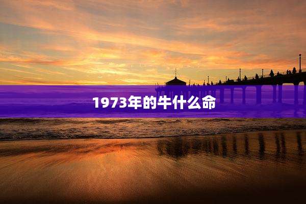 1973年的牛什么命