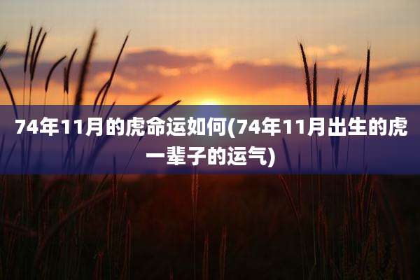 74年11月的虎命运如何(74年11月出生的虎一辈子的运气)
