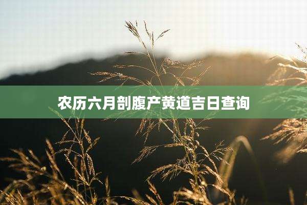 农历六月剖腹产黄道吉日查询