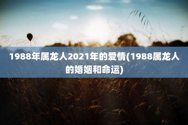 1988年属龙人2021年的爱情(1988属龙人的婚姻和命运)