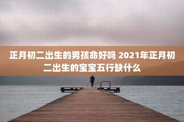 正月初二出生的男孩命好吗 2021年正月初二出生的宝宝五行缺什么