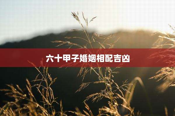六十甲子婚姻相配吉凶
