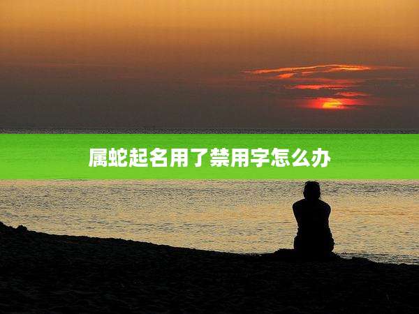 属蛇起名用了禁用字怎么办