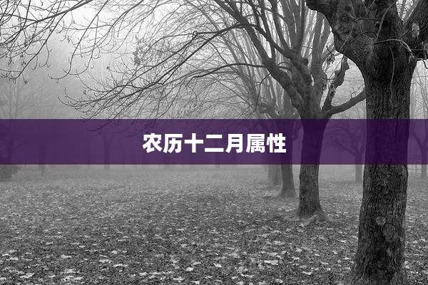 农历十二月属性