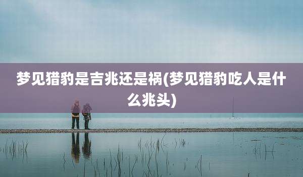 梦见猎豹是吉兆还是祸(梦见猎豹吃人是什么兆头)