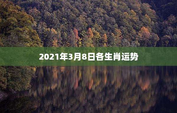 2021年3月8日各生肖运势