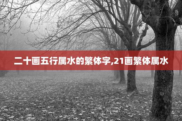 二十画五行属水的繁体字,21画繁体属水