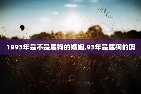 1993年是不是属狗的婚姻,93年是属狗的吗
