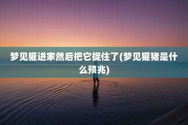 梦见獾进家然后把它捉住了(梦见獾猪是什么预兆)