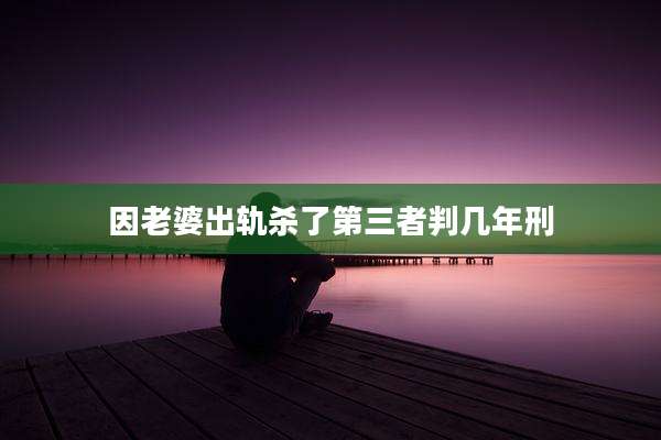 因老婆出轨杀了第三者判几年刑