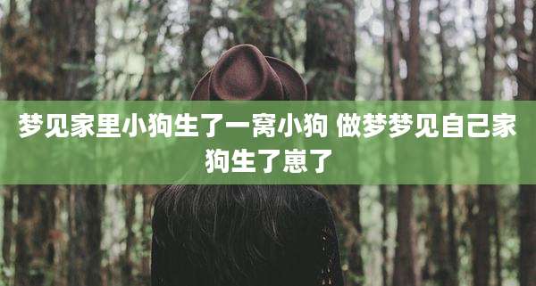 梦见家里小狗生了一窝小狗 做梦梦见自己家狗生了崽了