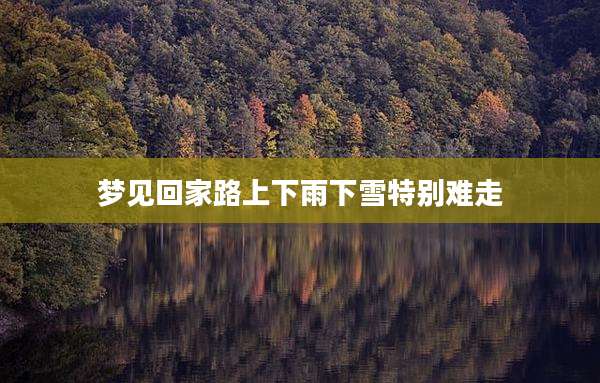 梦见回家路上下雨下雪特别难走