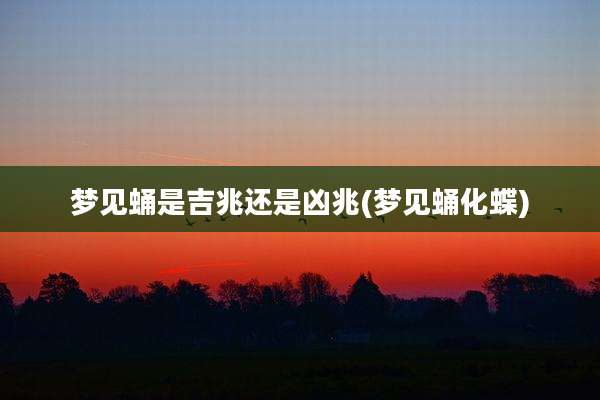 梦见蛹是吉兆还是凶兆(梦见蛹化蝶)