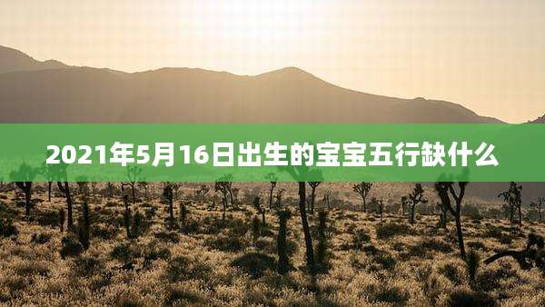 2021年5月16日出生的宝宝五行缺什么