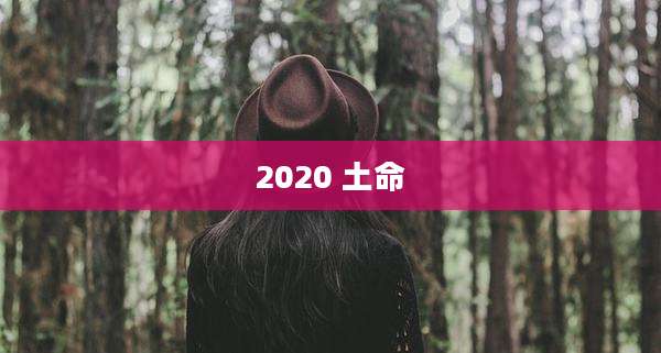 2020 土命