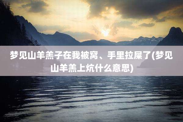 梦见山羊羔子在我被窝、手里拉屎了(梦见山羊羔上炕什么意思)