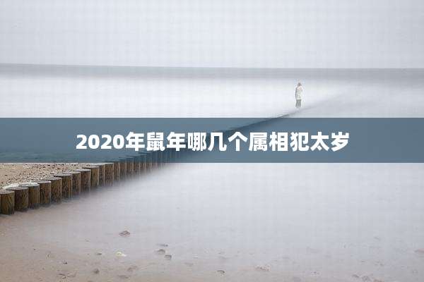 2020年鼠年哪几个属相犯太岁