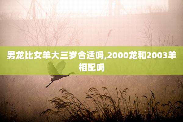 男龙比女羊大三岁合适吗,2000龙和2003羊相配吗