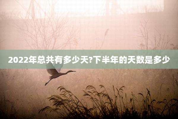 2022年总共有多少天?下半年的天数是多少
