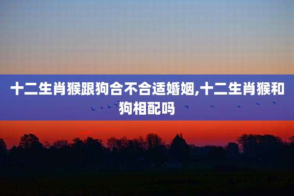 十二生肖猴跟狗合不合适婚姻,十二生肖猴和狗相配吗