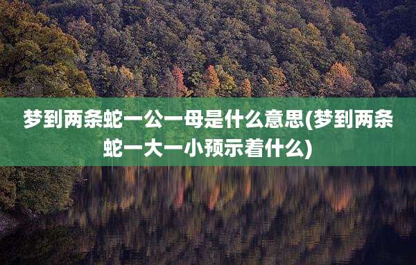 梦到两条蛇一公一母是什么意思(梦到两条蛇一大一小预示着什么)