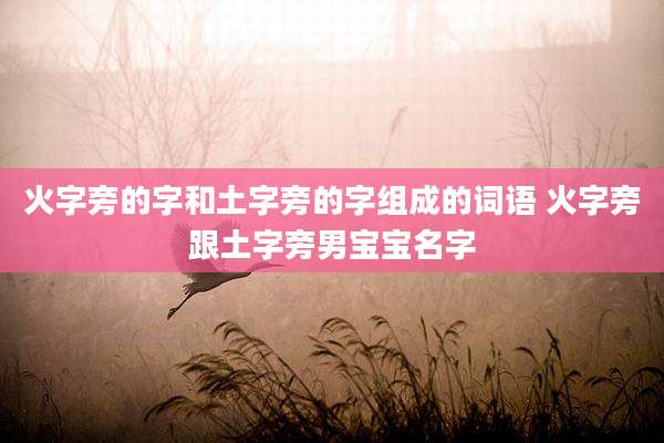 火字旁的字和土字旁的字组成的词语 火字旁跟土字旁男宝宝名字