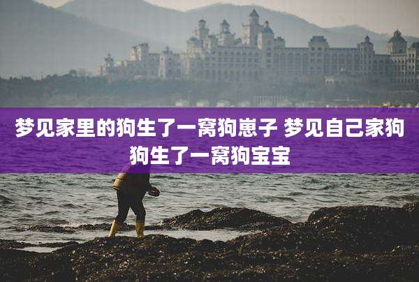 梦见家里的狗生了一窝狗崽子 梦见自己家狗狗生了一窝狗宝宝