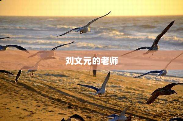 刘文元的老师