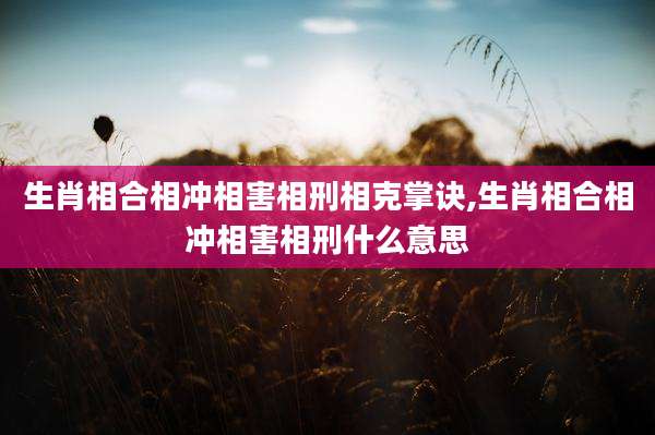 生肖相合相冲相害相刑相克掌诀,生肖相合相冲相害相刑什么意思