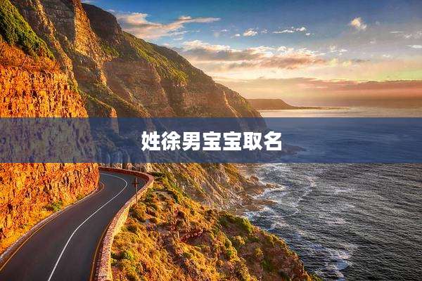 姓徐男宝宝取名