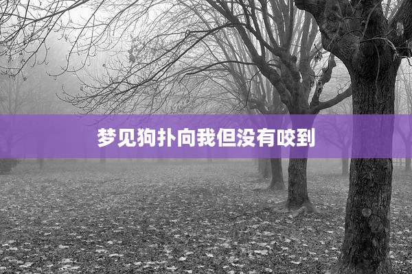 梦见狗扑向我但没有咬到