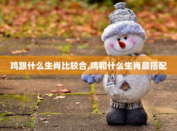 鸡跟什么生肖比较合,鸡和什么生肖最搭配