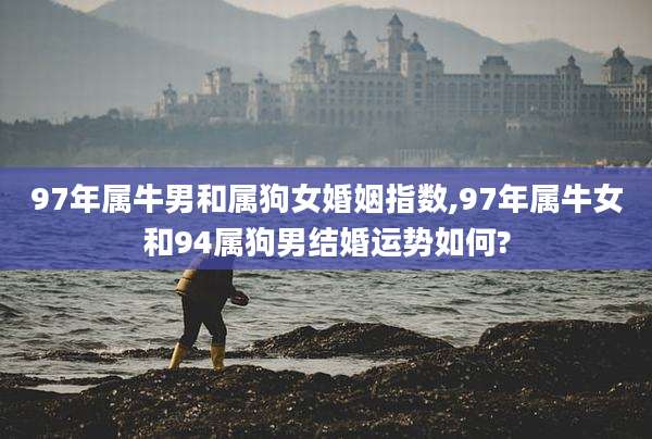 97年属牛男和属狗女婚姻指数,97年属牛女和94属狗男结婚运势如何?