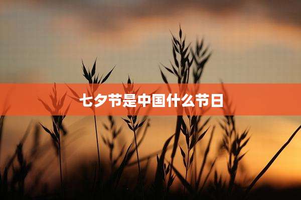 七夕节是中国什么节日